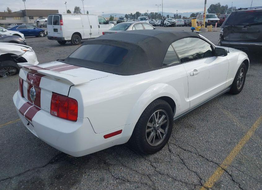 Photo 4 of 2005 Ford Mustang (VIN 1ZVHT84N655204405)