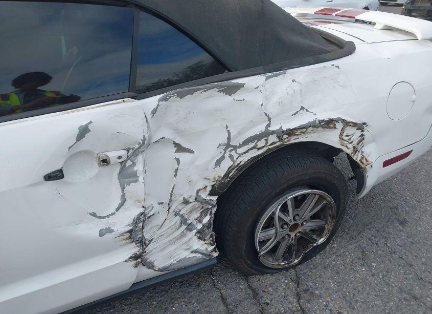 Photo 6 of 2005 Ford Mustang (VIN 1ZVHT84N655204405)