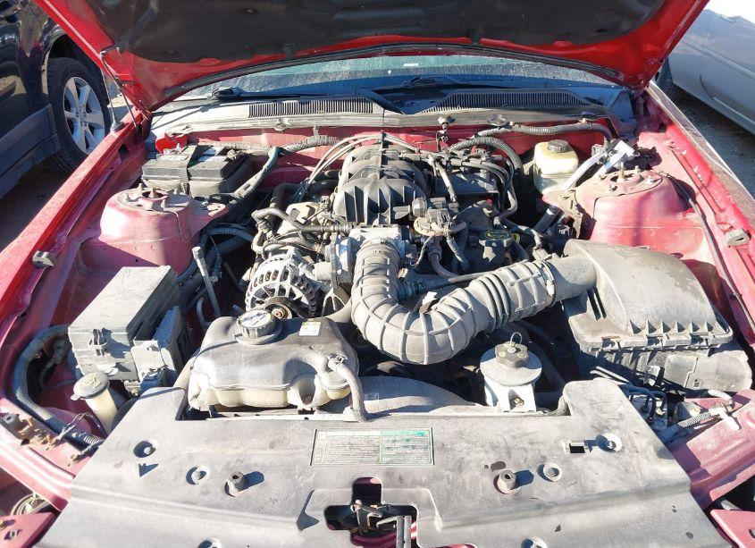 Photo 10 of 2006 Ford Mustang V6 (VIN 1ZVHT84N665238121)