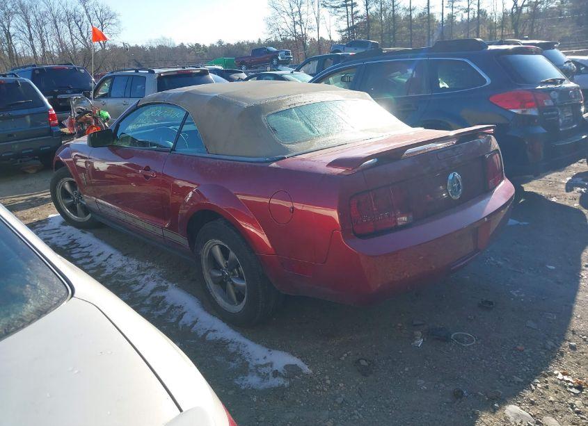 Photo 3 of 2006 Ford Mustang V6 (VIN 1ZVHT84N665238121)