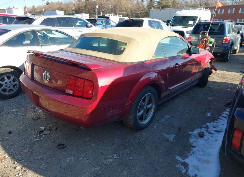 Photo 4 of 2006 Ford Mustang V6 (VIN 1ZVHT84N665238121)