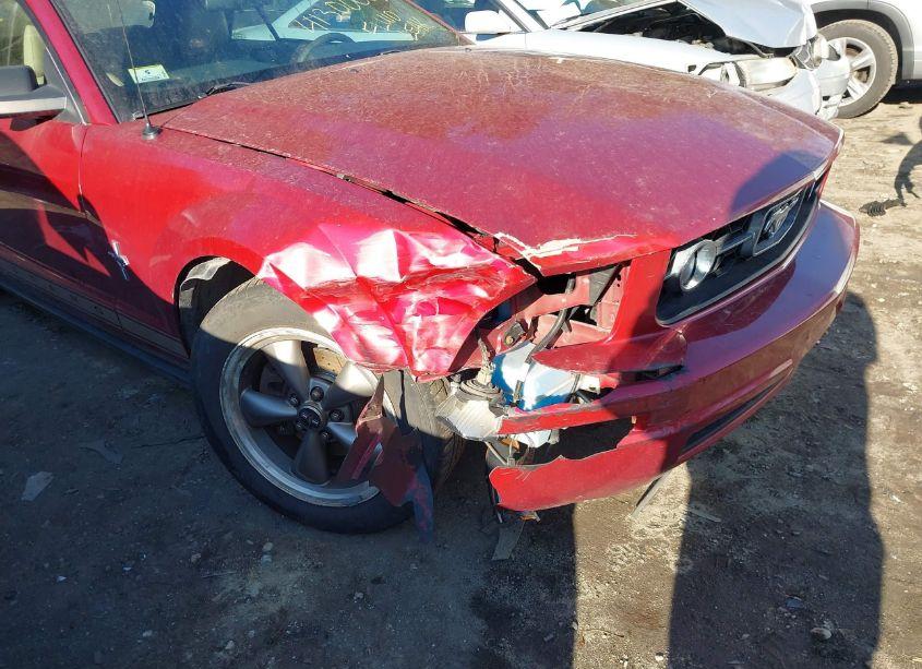 Photo 6 of 2006 Ford Mustang V6 (VIN 1ZVHT84N665238121)