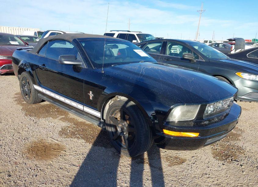 2008 Ford Mustang V6 DELUXE/V6 PREMIUM (VIN 1ZVHT84N685163133) main photo