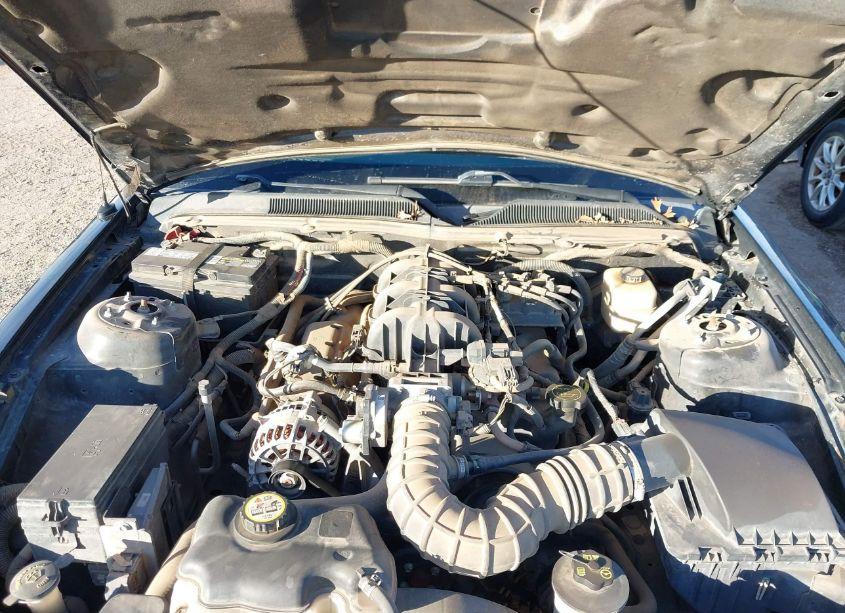 Photo 10 of 2008 Ford Mustang V6 DELUXE/V6 PREMIUM (VIN 1ZVHT84N685163133)