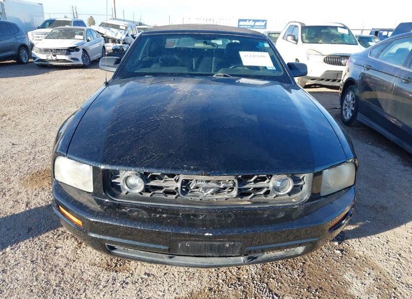 Photo 6 of 2008 Ford Mustang V6 DELUXE/V6 PREMIUM (VIN 1ZVHT84N685163133)