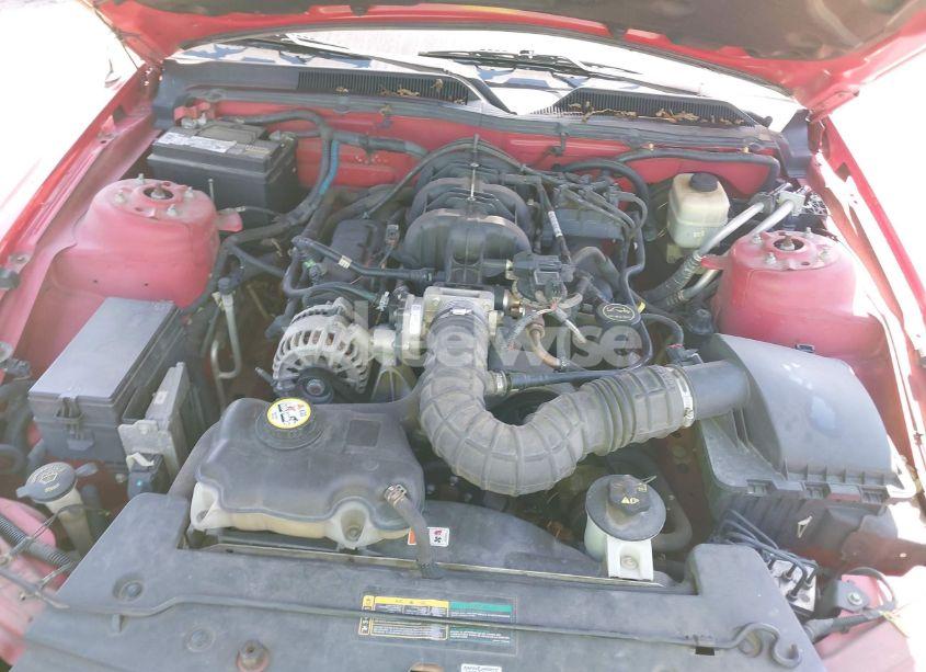 Photo 10 of 2008 Ford Mustang V6 DELUXE/V6 PREMIUM (VIN 1ZVHT84N685189280)