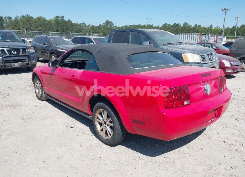 Photo 3 of 2008 Ford Mustang V6 DELUXE/V6 PREMIUM (VIN 1ZVHT84N685189280)