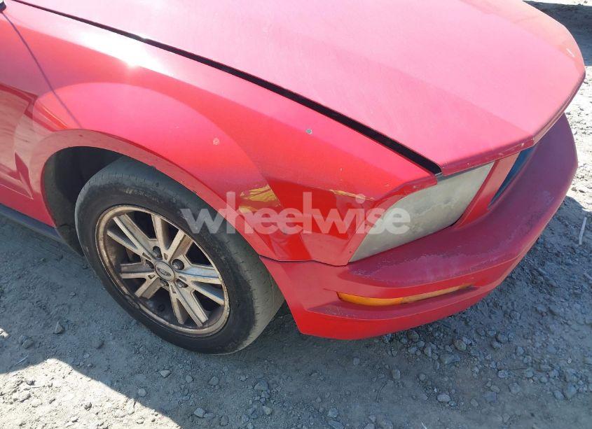 Photo 6 of 2008 Ford Mustang V6 DELUXE/V6 PREMIUM (VIN 1ZVHT84N685189280)