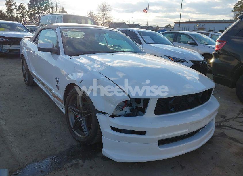 2009 Ford Mustang V6/V6 PREMIUM (VIN 1ZVHT84N695111809) main photo