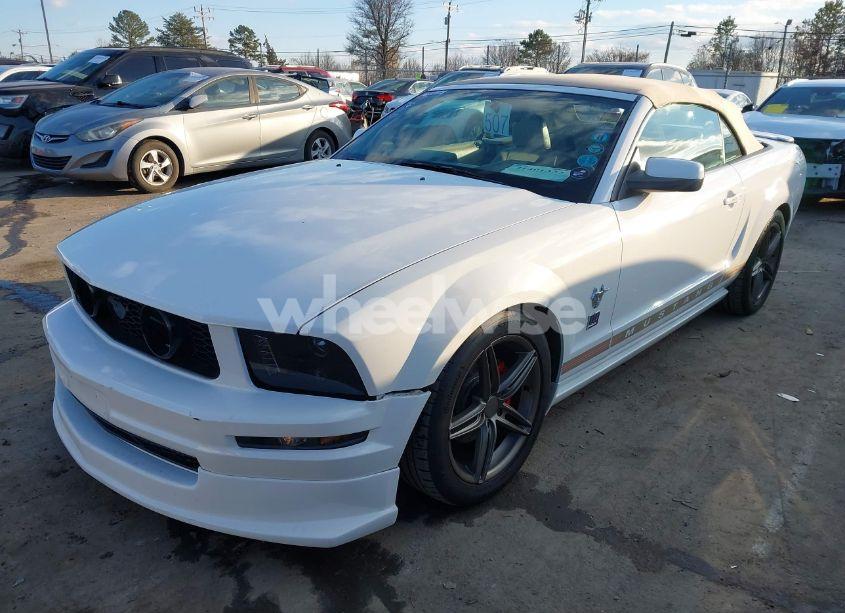 Photo 2 of 2009 Ford Mustang V6/V6 PREMIUM (VIN 1ZVHT84N695111809)