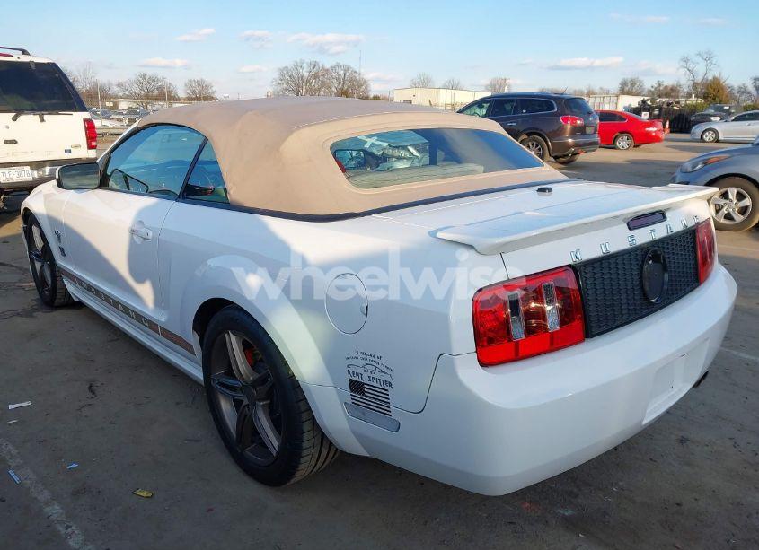 Photo 3 of 2009 Ford Mustang V6/V6 PREMIUM (VIN 1ZVHT84N695111809)