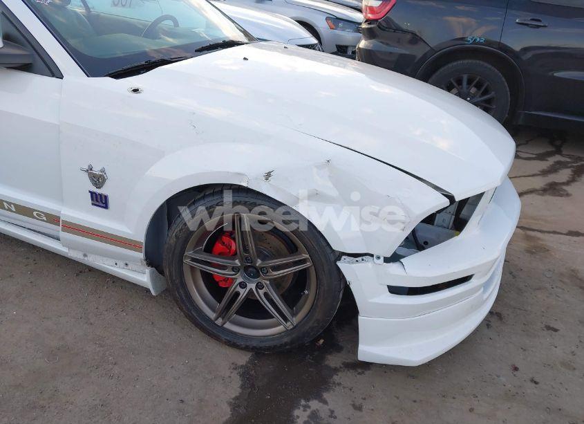 Photo 6 of 2009 Ford Mustang V6/V6 PREMIUM (VIN 1ZVHT84N695111809)