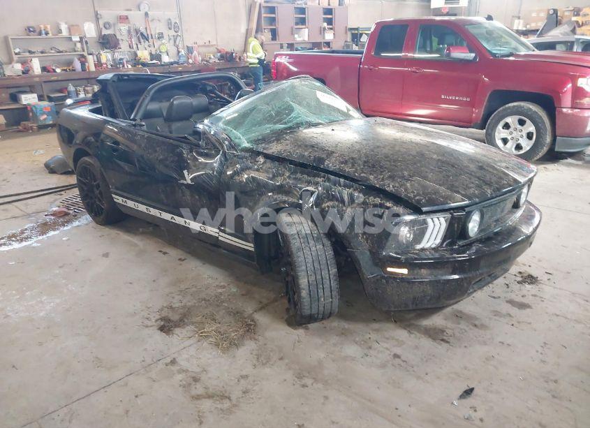 2005 Ford Mustang (VIN 1ZVHT84N755243052) main photo