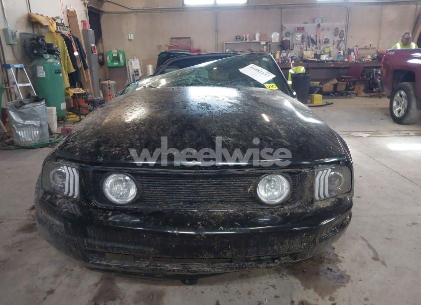 Photo 12 of 2005 Ford Mustang (VIN 1ZVHT84N755243052)