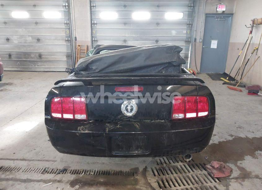 Photo 16 of 2005 Ford Mustang (VIN 1ZVHT84N755243052)
