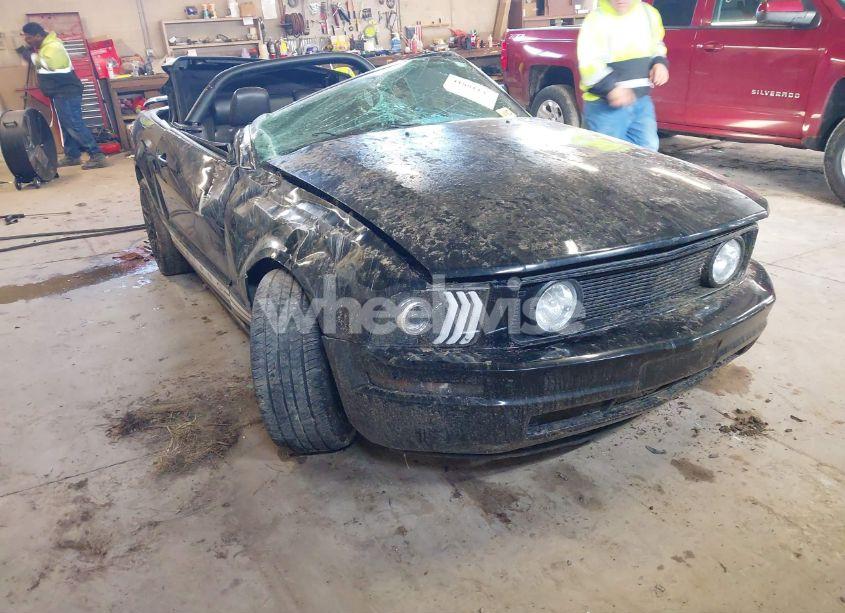 Photo 6 of 2005 Ford Mustang (VIN 1ZVHT84N755243052)