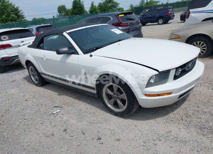 2006 Ford Mustang V6 (VIN 1ZVHT84N765251072) main photo