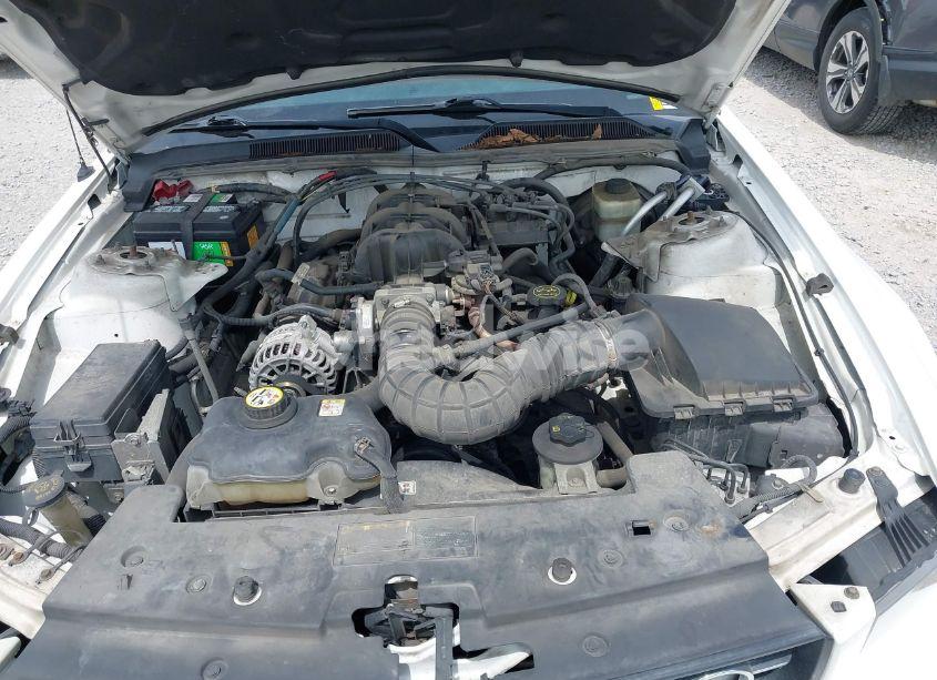 Photo 10 of 2006 Ford Mustang V6 (VIN 1ZVHT84N765251072)
