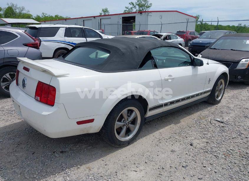 Photo 4 of 2006 Ford Mustang V6 (VIN 1ZVHT84N765251072)