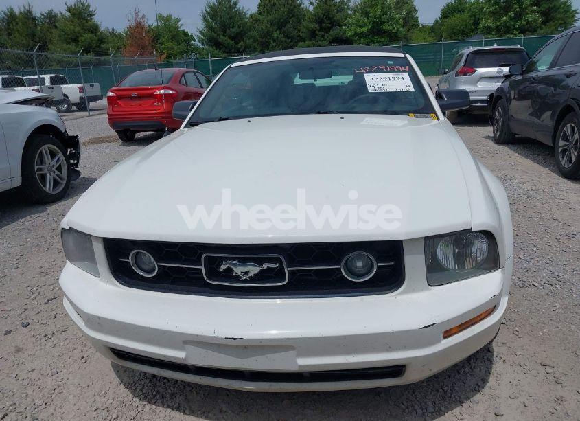 Photo 6 of 2006 Ford Mustang V6 (VIN 1ZVHT84N765251072)