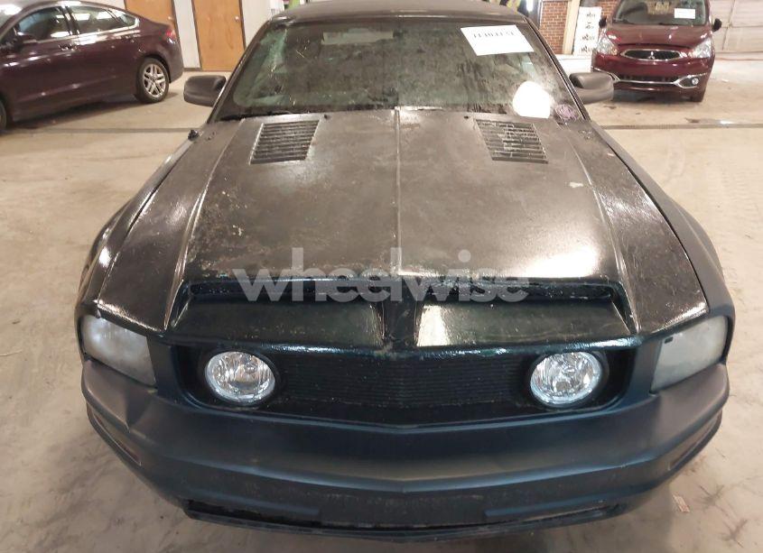 Photo 14 of 2008 Ford Mustang V6 DELUXE/V6 PREMIUM (VIN 1ZVHT84N785131288)