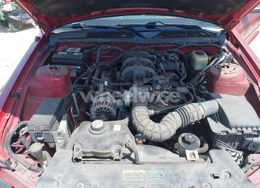 Photo 10 of 2008 Ford Mustang V6 DELUXE/V6 PREMIUM (VIN 1ZVHT84N785153453)