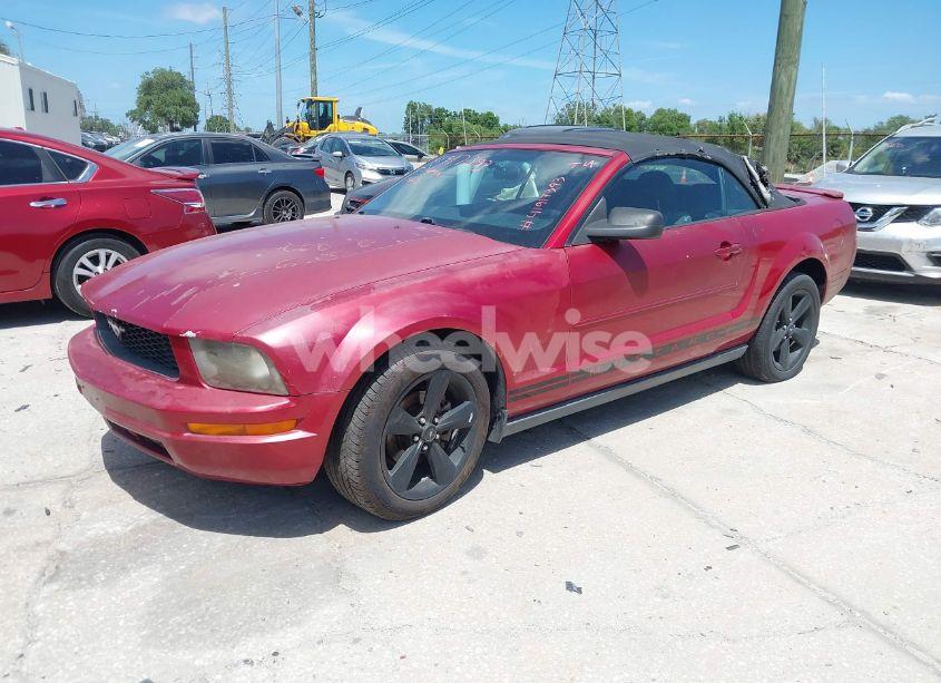 Photo 2 of 2008 Ford Mustang V6 DELUXE/V6 PREMIUM (VIN 1ZVHT84N785153453)