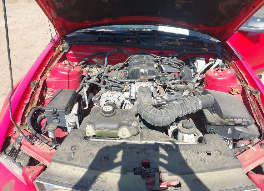 Photo 10 of 2009 Ford Mustang V6 (VIN 1ZVHT84N795112662)