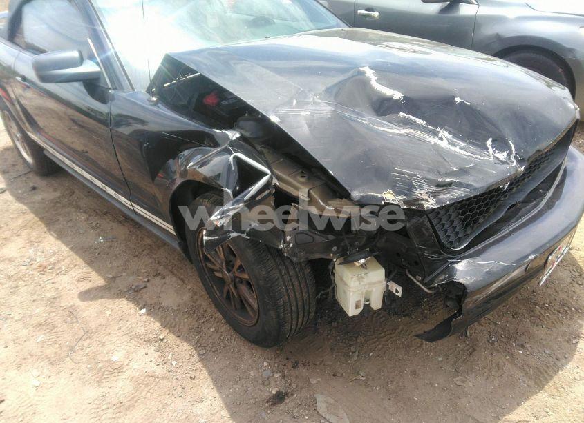 Photo 6 of 2005 Ford Mustang (VIN 1ZVHT84N855259857)