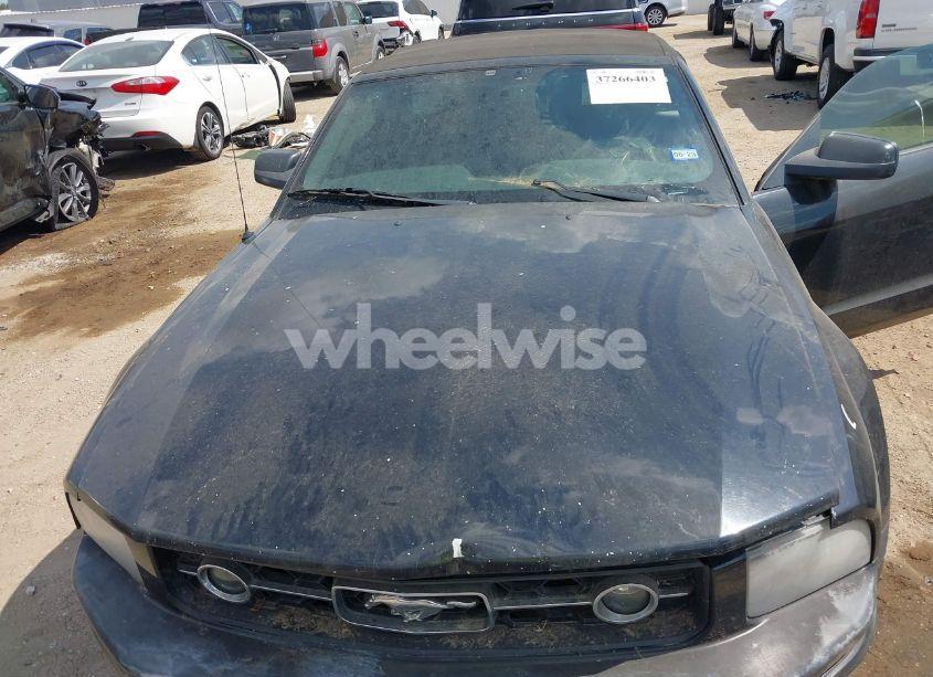 Photo 10 of 2008 Ford Mustang V6 DELUXE/V6 PREMIUM (VIN 1ZVHT84N885103483)