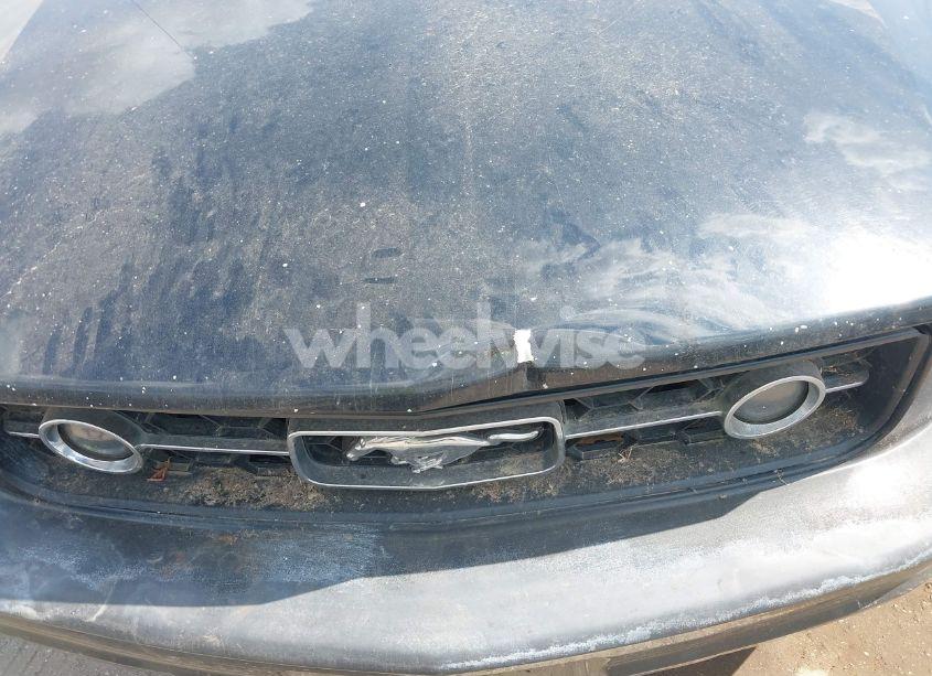 Photo 6 of 2008 Ford Mustang V6 DELUXE/V6 PREMIUM (VIN 1ZVHT84N885103483)