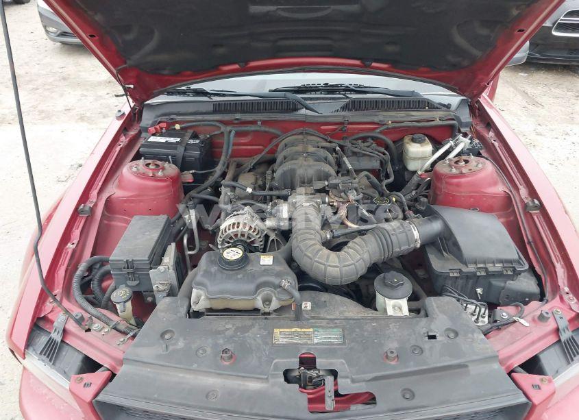 Photo 10 of 2008 Ford Mustang V6 DELUXE/V6 PREMIUM (VIN 1ZVHT84N885204927)