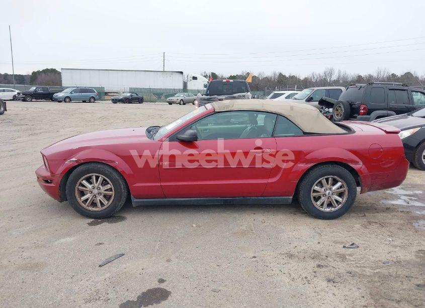 Photo 12 of 2008 Ford Mustang V6 DELUXE/V6 PREMIUM (VIN 1ZVHT84N885204927)