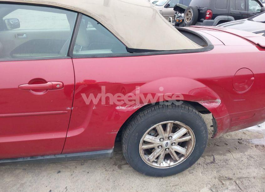 Photo 13 of 2008 Ford Mustang V6 DELUXE/V6 PREMIUM (VIN 1ZVHT84N885204927)