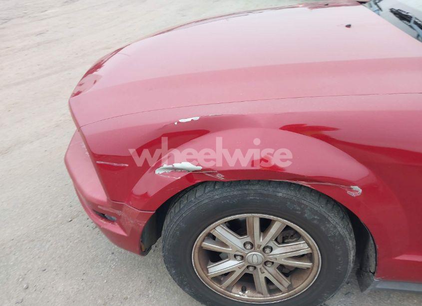 Photo 14 of 2008 Ford Mustang V6 DELUXE/V6 PREMIUM (VIN 1ZVHT84N885204927)