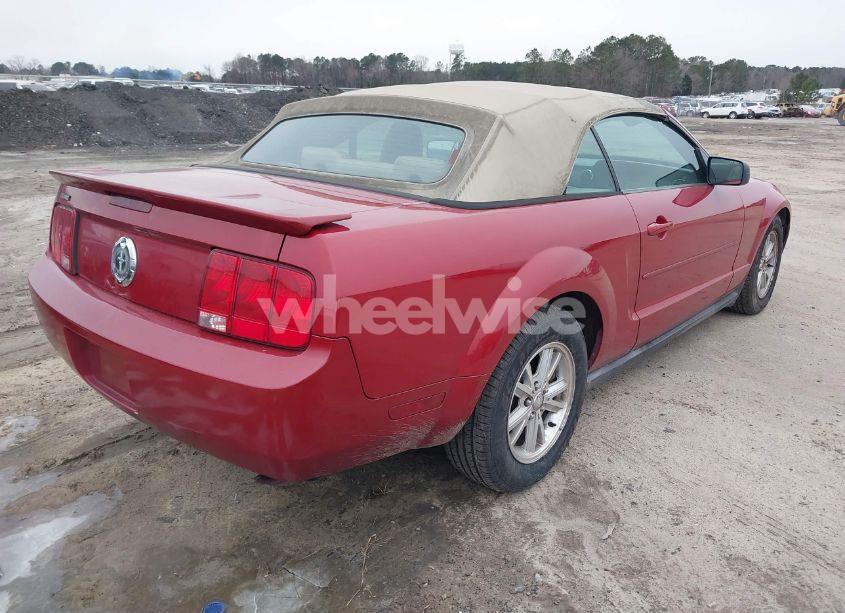 Photo 4 of 2008 Ford Mustang V6 DELUXE/V6 PREMIUM (VIN 1ZVHT84N885204927)