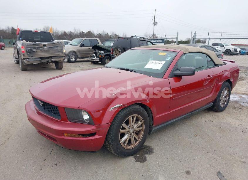 Photo 6 of 2008 Ford Mustang V6 DELUXE/V6 PREMIUM (VIN 1ZVHT84N885204927)