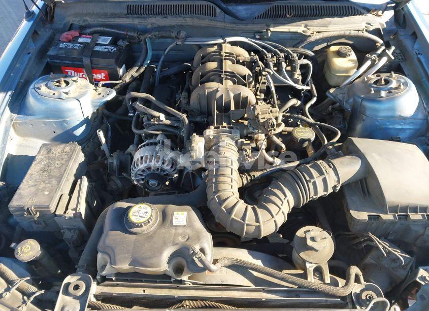 Photo 10 of 2005 Ford Mustang (VIN 1ZVHT84N955253808)