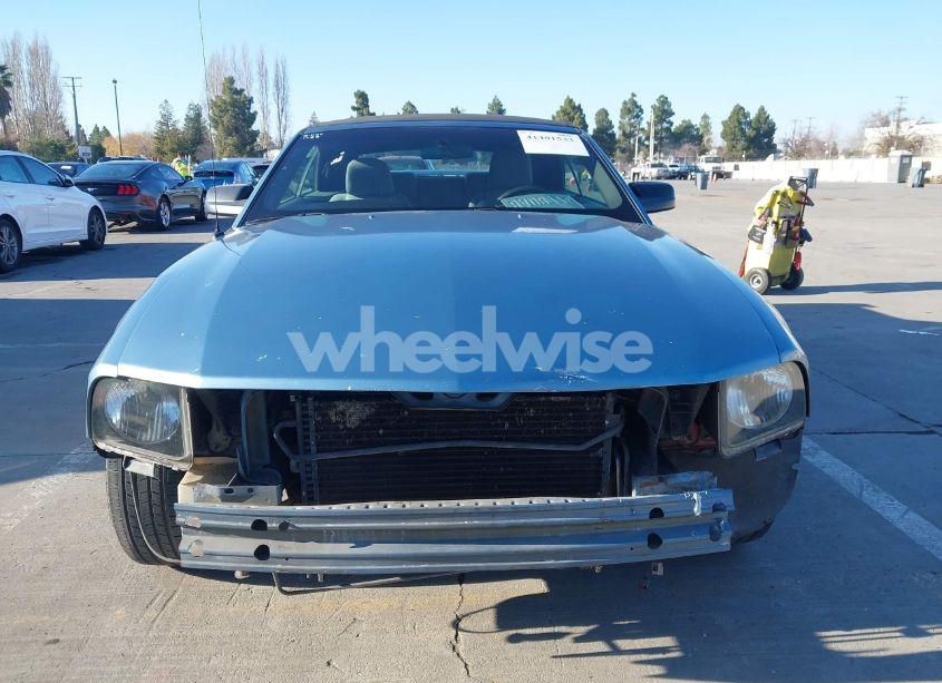 Photo 13 of 2005 Ford Mustang (VIN 1ZVHT84N955253808)