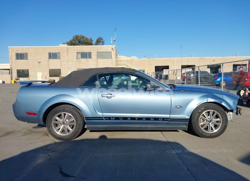 Photo 14 of 2005 Ford Mustang (VIN 1ZVHT84N955253808)