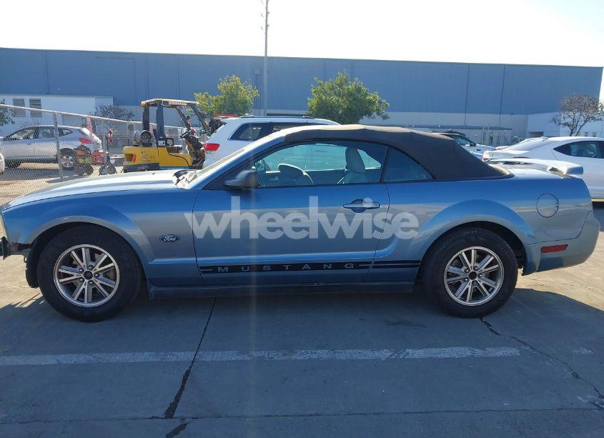 Photo 15 of 2005 Ford Mustang (VIN 1ZVHT84N955253808)
