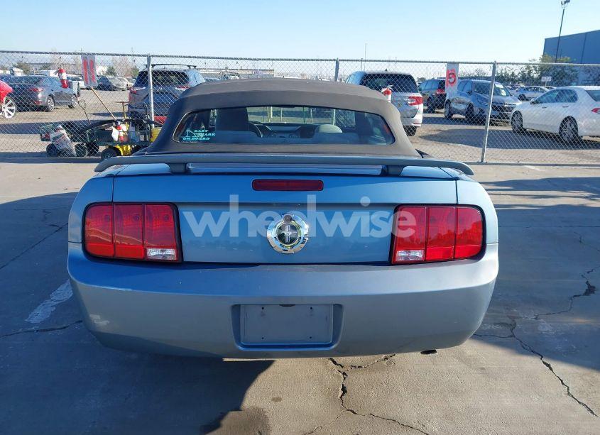Photo 17 of 2005 Ford Mustang (VIN 1ZVHT84N955253808)