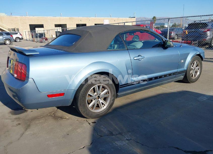 Photo 4 of 2005 Ford Mustang (VIN 1ZVHT84N955253808)