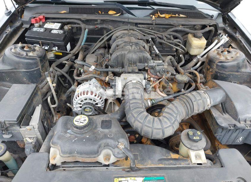 Photo 10 of 2007 Ford Mustang V6 DELUXE/V6 PREMIUM (VIN 1ZVHT84N975264018)