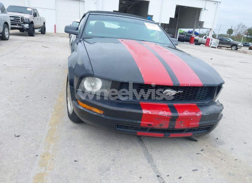 Photo 12 of 2007 Ford Mustang V6 DELUXE/V6 PREMIUM (VIN 1ZVHT84N975264018)