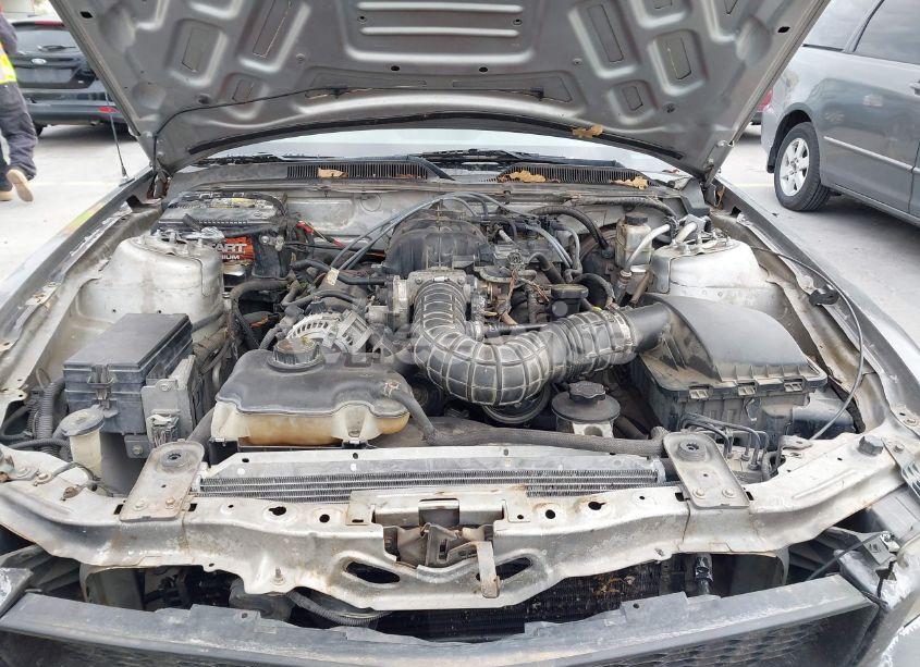 Photo 10 of 2009 Ford Mustang V6/V6 PREMIUM (VIN 1ZVHT84N995137661)