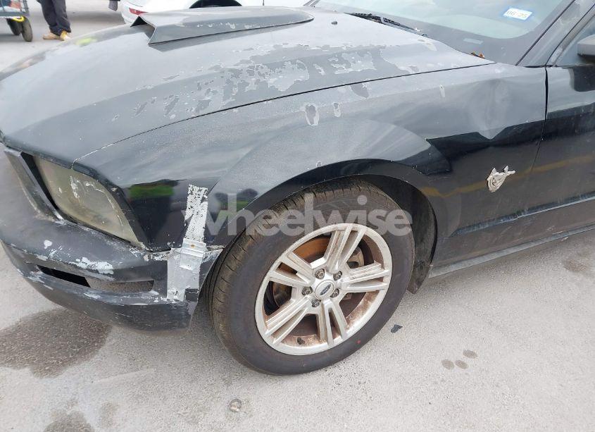 Photo 13 of 2009 Ford Mustang V6/V6 PREMIUM (VIN 1ZVHT84N995137661)