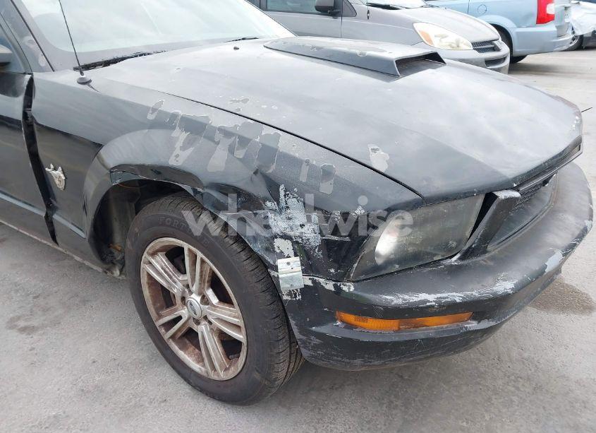 Photo 6 of 2009 Ford Mustang V6/V6 PREMIUM (VIN 1ZVHT84N995137661)