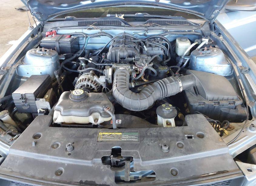 Photo 10 of 2007 Ford Mustang (VIN 1ZVHT84NX75355329)