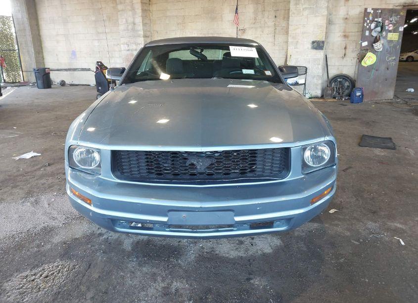 Photo 12 of 2007 Ford Mustang (VIN 1ZVHT84NX75355329)